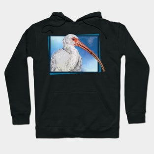 Ibis Hoodie